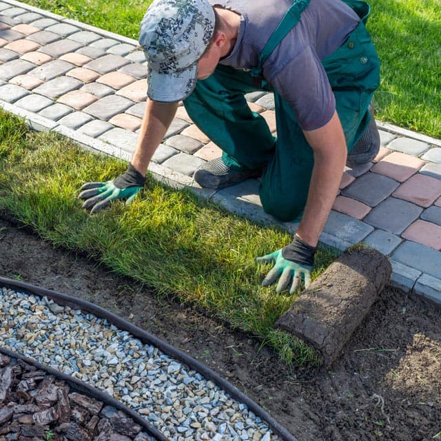 Trabajos de limpieza y jardinería en Tomiño