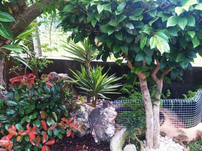 Trabajos de jardinería de Limpiezas Alonso