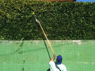 Trabajos de jardinería de Limpiezas Alonso