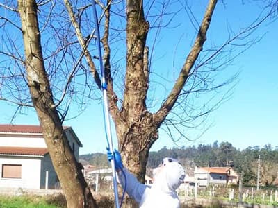 Trabajos de jardinería de Limpiezas Alonso